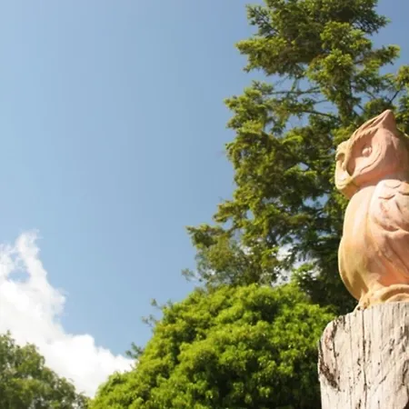 Erle - Ulenhoef Apartament *